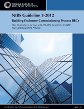 NIBS Guideline