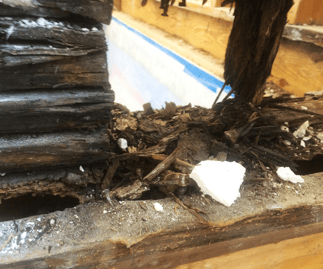 Extensive wood rot was found on the balcony decks.