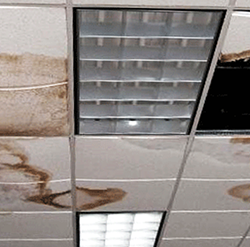 Commercial Building Hazards 1